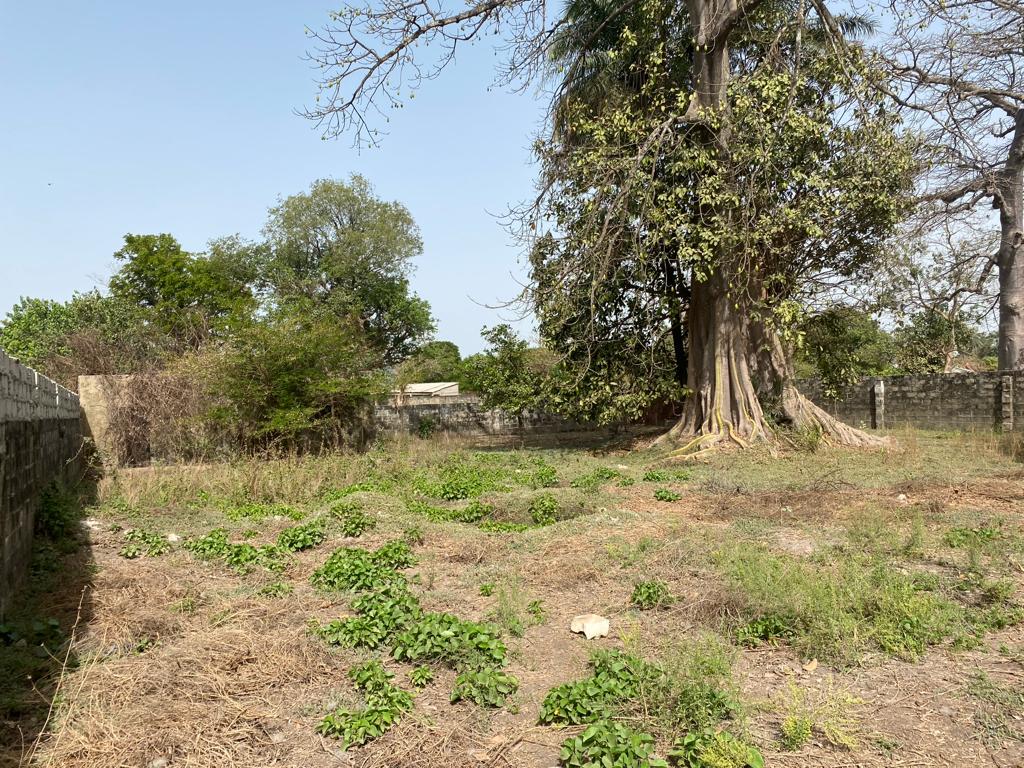 2 Prime Fenced Plots for Sale at Sanyang
