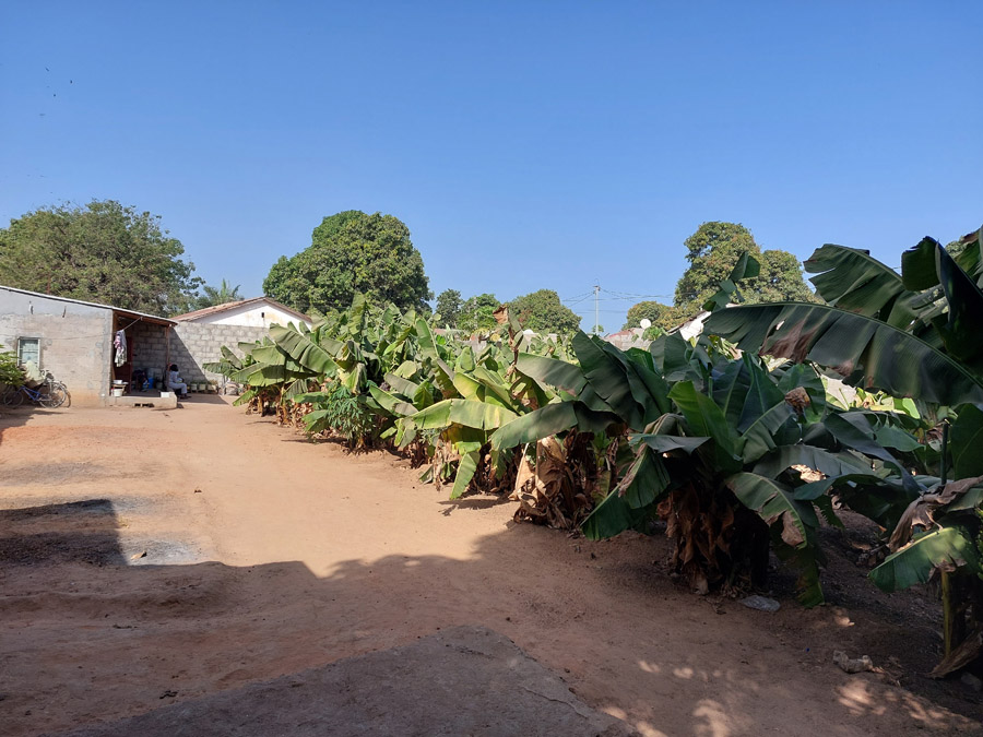 Commercial/Residential plot for sale