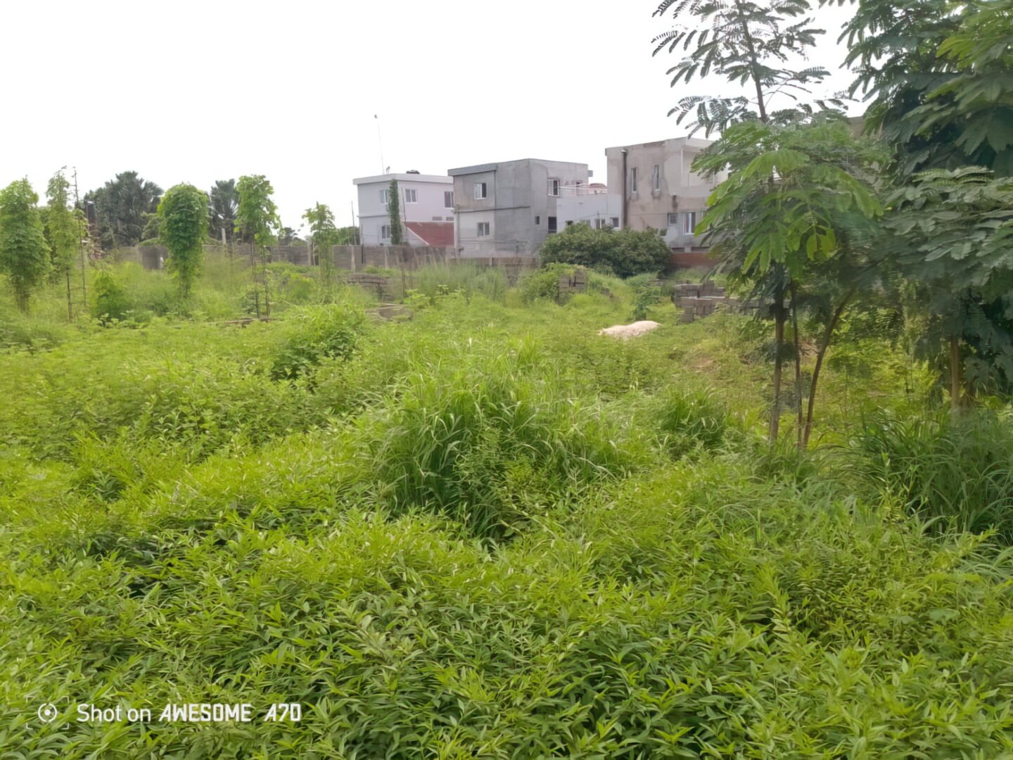 Prime Kololi Plot – 600 m2