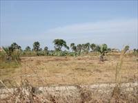 Plot of Land for Sale in Old Yundum â 20x25 Meters | D1.5 Million
