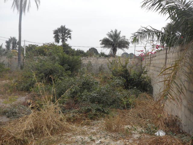 EMPTY LAND FOR SALE AT FAJARA 30 X 30 METERS D14MILLION