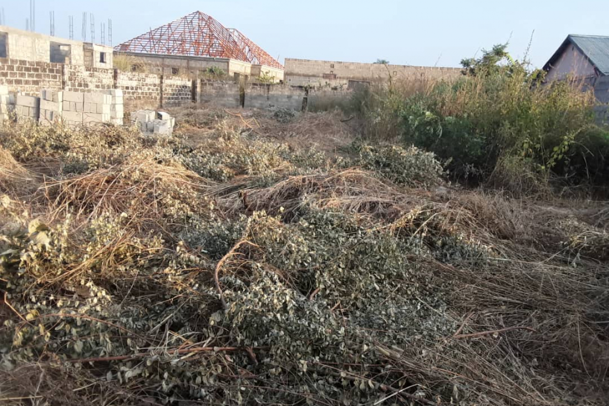 CHEAP LIST OF LANDS AVAILABLE FOR SALE IN THE GAMBIA