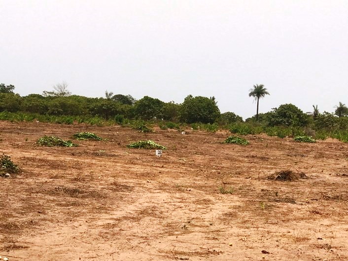 20 X 20 METERS EMPTY LAND FOR SALE AT SANYANG SEAVIEW GARDEN CASH PRICE D400,000 AND INSTALLMENT OF ONE YEAR D500,000