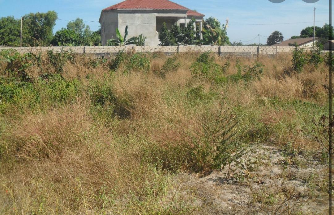 THE CHEAPEST AND THE ONLY EMPTY PLOTS OF LAND AVAILABLE FOR SALE AT BRUFUT HEIGHT 20 X 25 METERS FOR D8,500,000