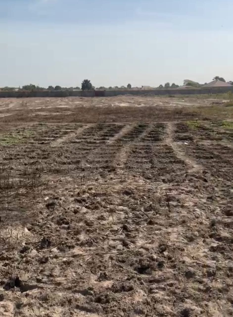 CHEAP PLOTS OF LAND FOR SALE IN THE GAMBIA