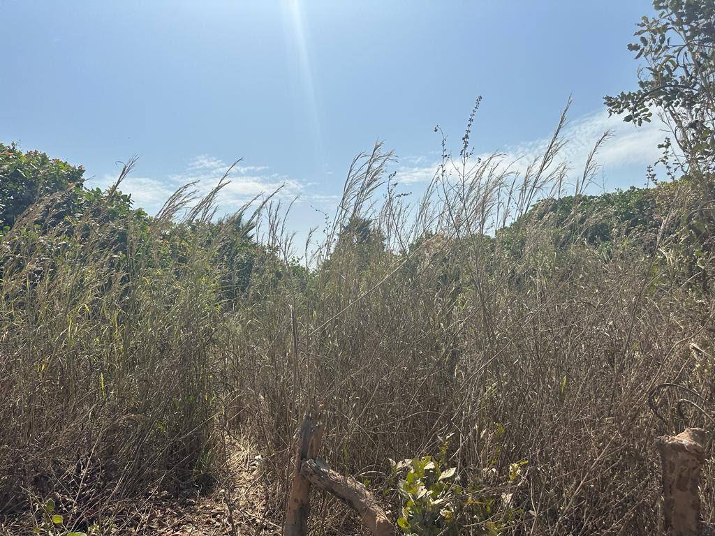 Empty land for sale at Tujureng village 20 X 20 meters