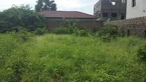 Prime 25x25m Fenced Plot for Sale in Brufut Heights ï¿½ 3 Mins to the Beach!