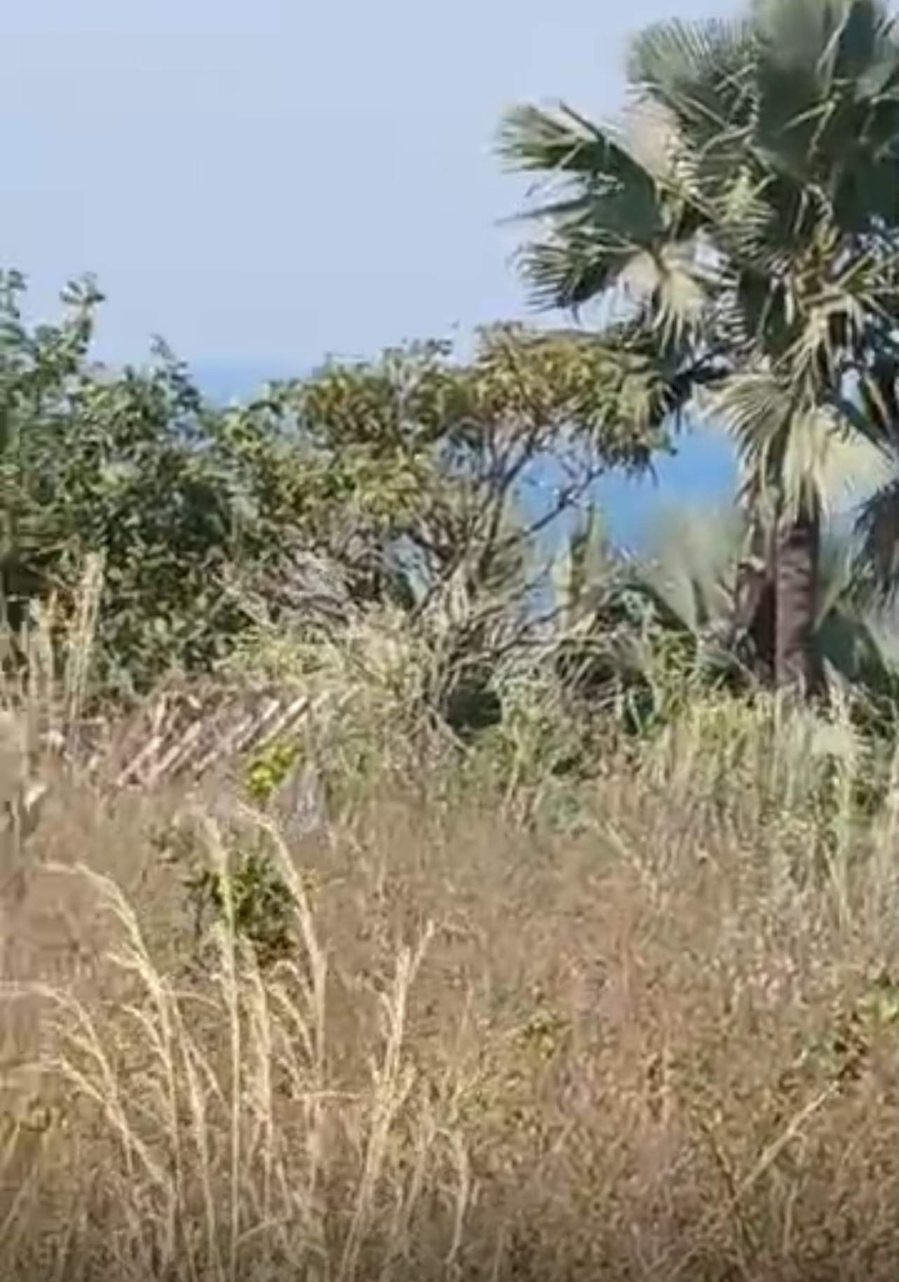 Plot of Land for Sale in Brufut Heights ï¿½ Prime First Row Seafront Property