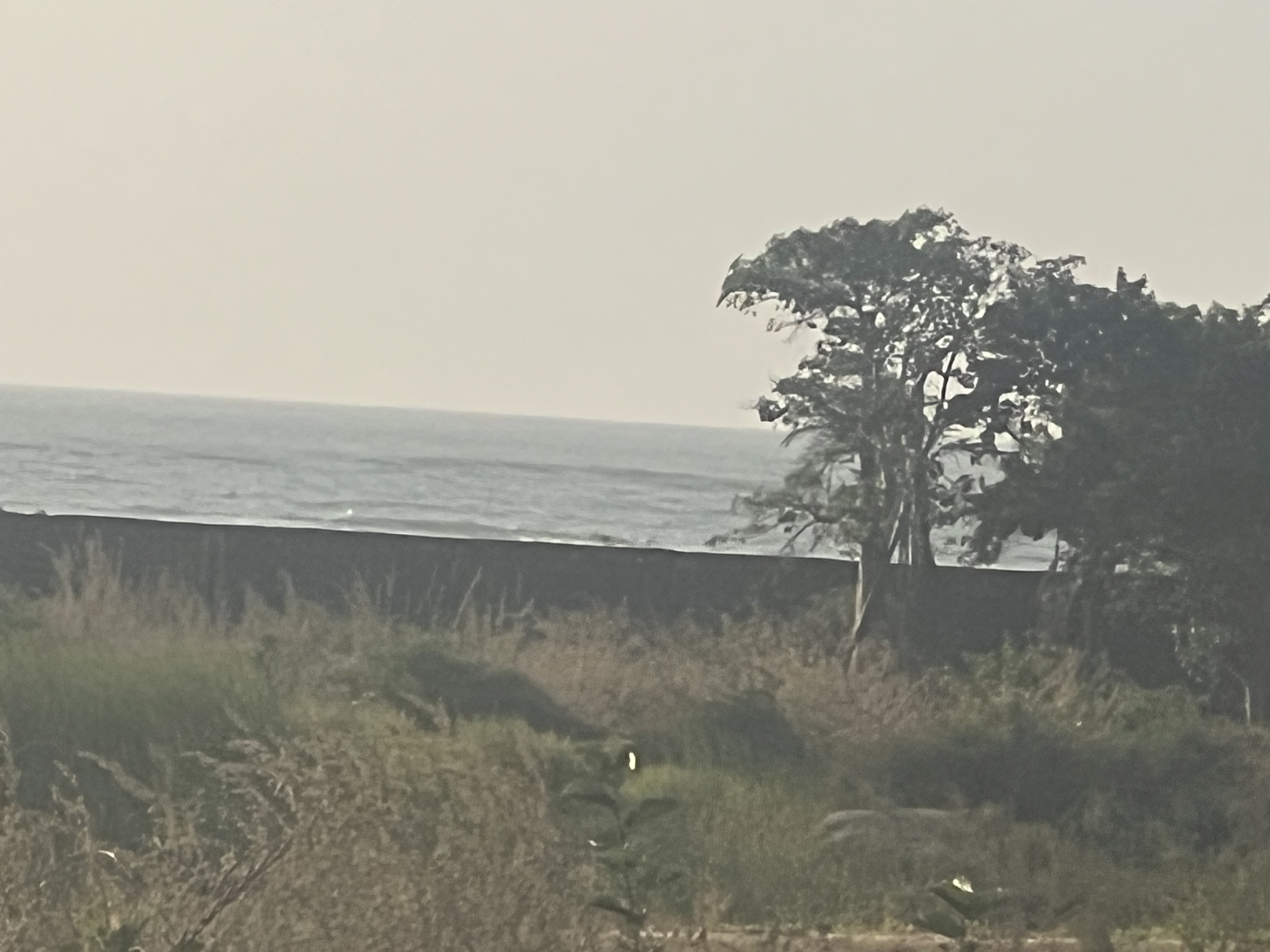 Tanji Seafront plot of land for sale