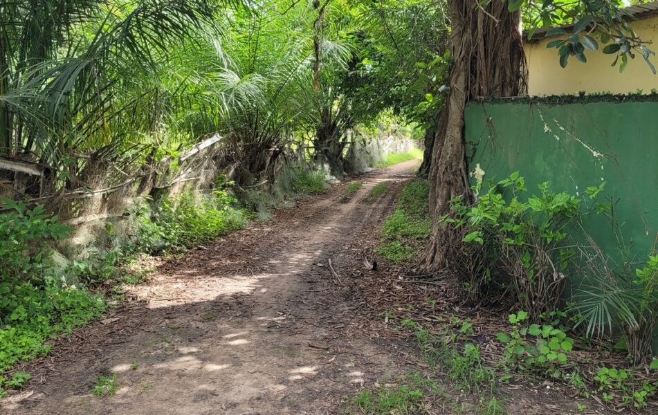 Property for sale sanyang village