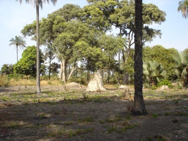 Exceptional Plots for Sale