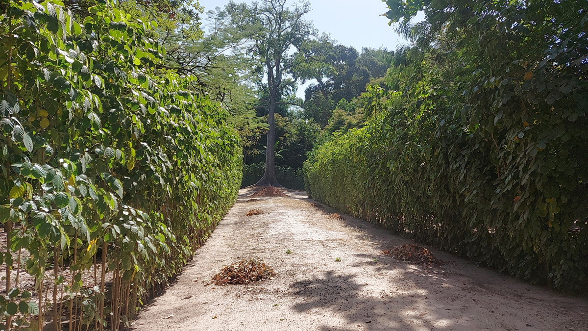 10.000 m2 Green Oasis for Sale