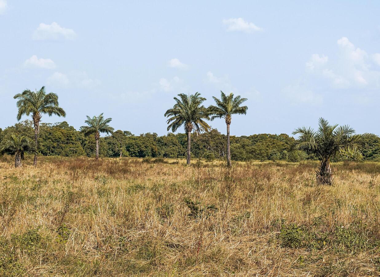 Prime Lease Plot 5000 m2